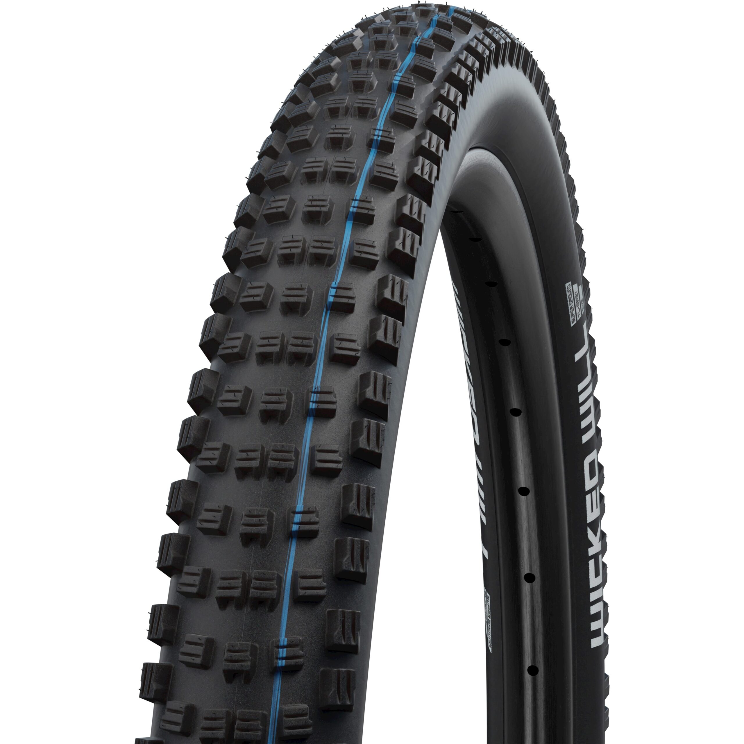 Schwalbe Btb Wicked Will Evo SuperG 29 x 2.40 Zw Foldable TLE